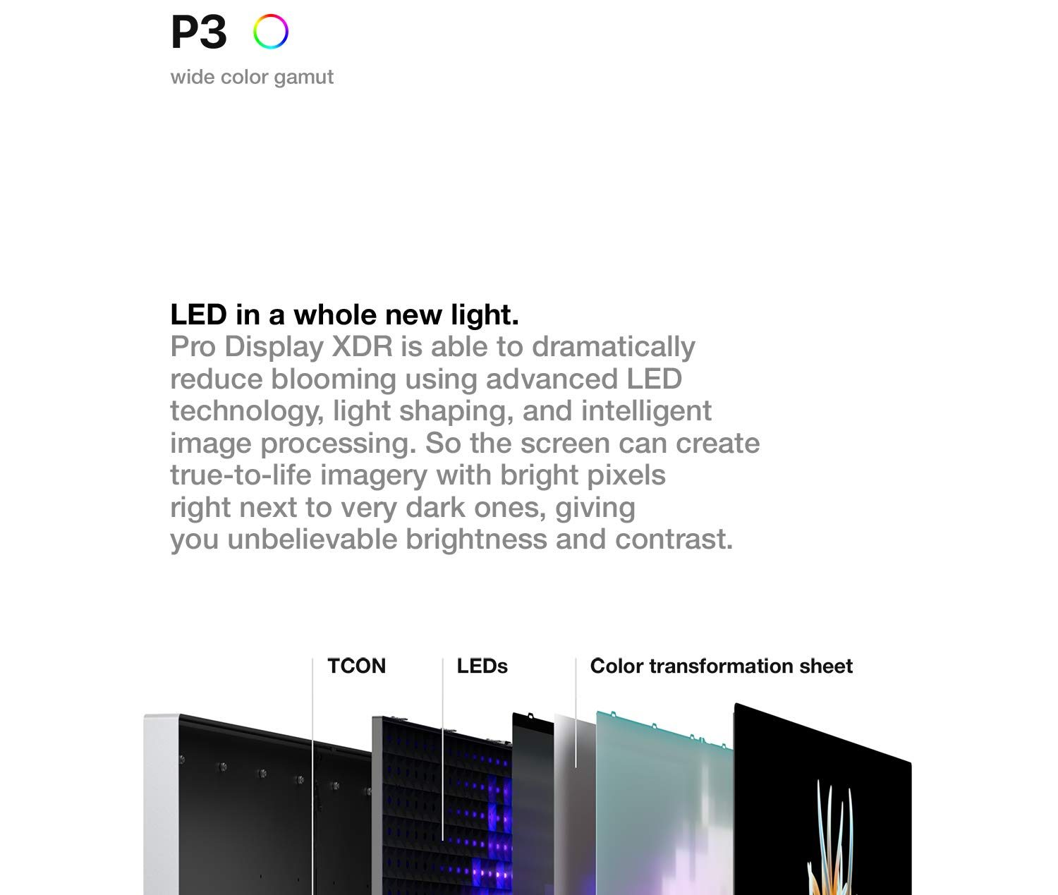 Apple 32-inch Pro Display