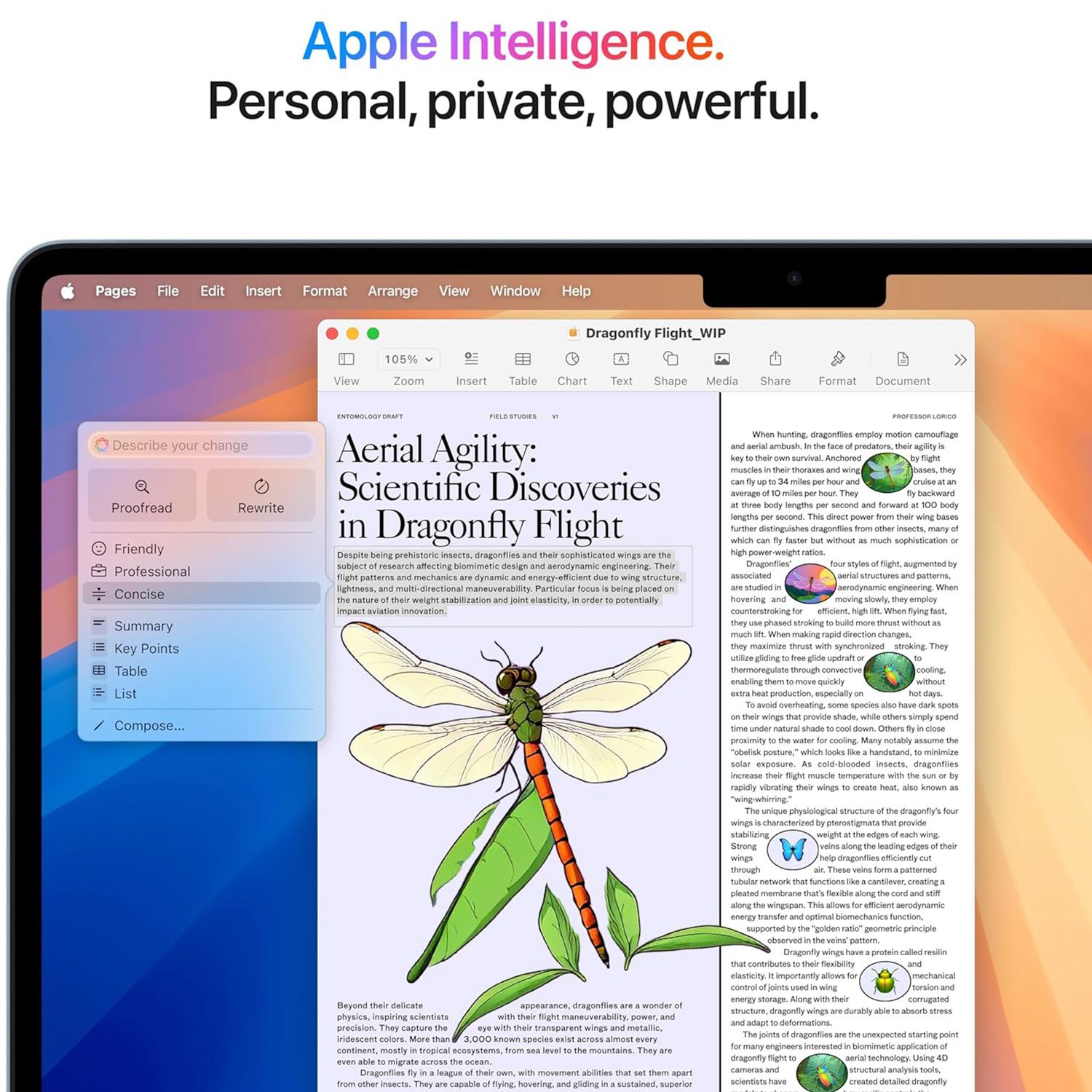 Apple 2025 MacBook Air 13-inch Laptop with M4 chip
